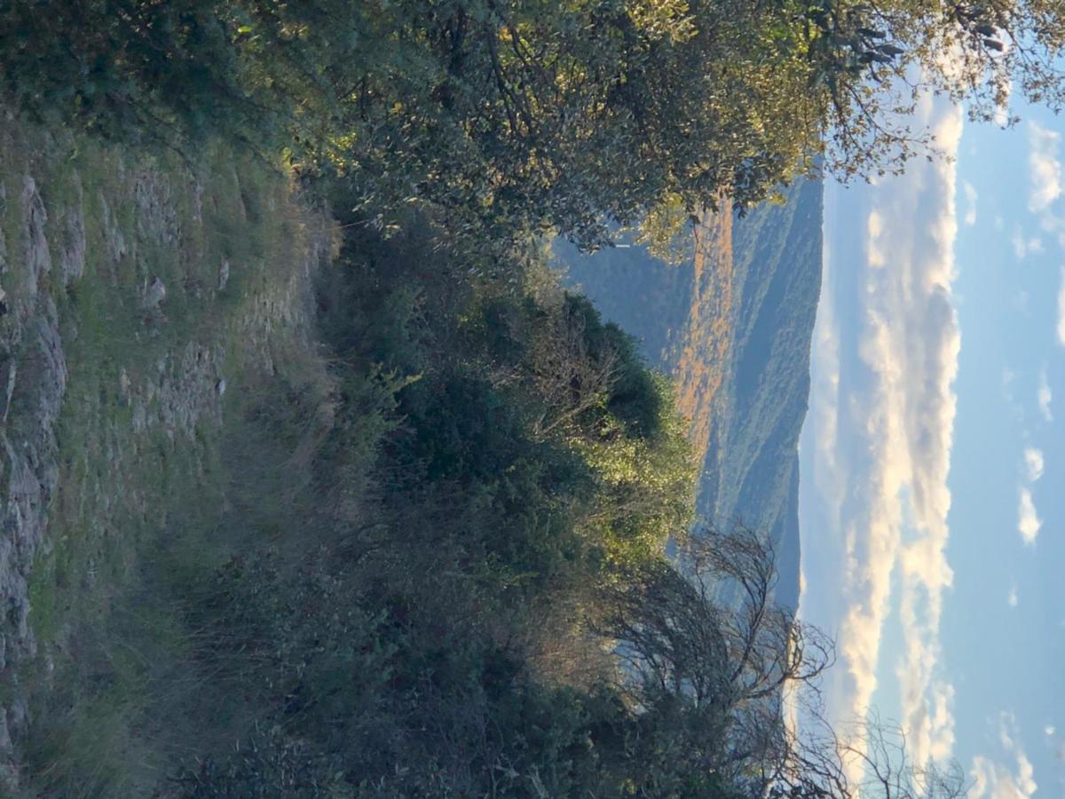 Villa Retour Aux Sources Sauve Esterno foto